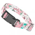 Rózsaszín Cseresznyevirágzás - Kutya Nyakörv - april & june