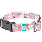 Rózsaszín Cseresznyevirágzás - Kutya Nyakörv - april & june