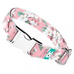 Rózsaszín Cseresznyevirágzás - Kutya Nyakörv - april & june