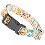 Mezei Virágok - Kutya Nyakörv - april & june