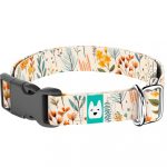 Mezei Virágok - Kutya Nyakörv - april & june