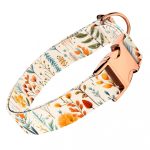 Mezei Virágok - Kutya Nyakörv - april & june