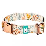 Mezei Virágok - Kutya Nyakörv - april & june