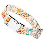 Mezei Virágok - Kutya Nyakörv - april & june