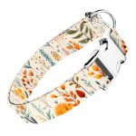 Mezei Virágok - Kutya Nyakörv - april & june