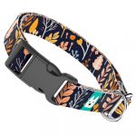 Őszi mezei virágok - Kutya Nyakörv - april & june