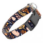 Őszi mezei virágok - Kutya Nyakörv - april & june