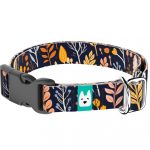 Őszi mezei virágok - Kutya Nyakörv - april & june