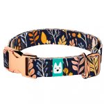 Őszi mezei virágok - Kutya Nyakörv - april & june