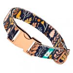 Őszi mezei virágok - Kutya Nyakörv - april & june