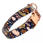 Őszi mezei virágok - Kutya Nyakörv - april & june