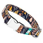 Őszi mezei virágok - Kutya Nyakörv - april & june