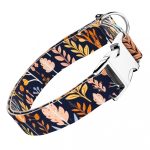 Őszi mezei virágok - Kutya Nyakörv - april & june