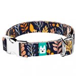 Őszi mezei virágok - Kutya Nyakörv - april & june