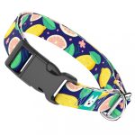 Kék Citrom - Kutya Nyakörv - april & june