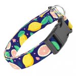 Kék Citrom - Kutya Nyakörv - april & june