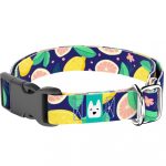 Kék Citrom - Kutya Nyakörv - april & june