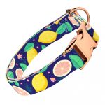 Kék Citrom - Kutya Nyakörv - april & june