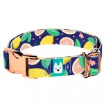 Kék Citrom - Kutya Nyakörv - april & june