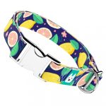 Kék Citrom - Kutya Nyakörv - april & june