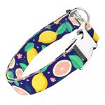 Kék Citrom - Kutya Nyakörv - april & june