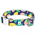 Kék Citrom - Kutya Nyakörv - april & june