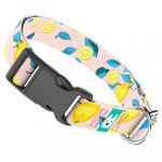 Nyári Citromok - Kutya Nyakörv - april & june