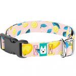 Nyári Citromok - Kutya Nyakörv - april & june