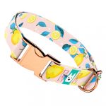 Nyári Citromok - Kutya Nyakörv - april & june