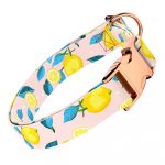 Nyári Citromok - Kutya Nyakörv - april & june