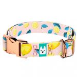 Nyári Citromok - Kutya Nyakörv - april & june