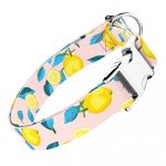 Nyári Citromok - Kutya Nyakörv - april & june