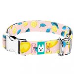 Nyári Citromok - Kutya Nyakörv - april & june