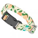 Barack mintás - Kutya Nyakörv - april & june