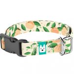 Barack mintás - Kutya Nyakörv - april & june