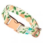 Barack mintás - Kutya Nyakörv - april & june