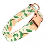 Barack mintás - Kutya Nyakörv - april & june