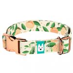 Barack mintás - Kutya Nyakörv - april & june