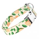 Barack mintás - Kutya Nyakörv - april & june