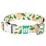 Barack mintás - Kutya Nyakörv - april & june