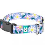 Margaréták - Kutya Nyakörv - april & june