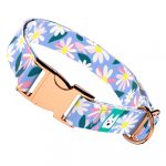 Margaréták - Kutya Nyakörv - april & june