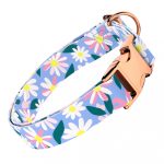 Margaréták - Kutya Nyakörv - april & june