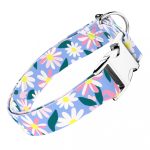 Margaréták - Kutya Nyakörv - april & june