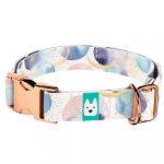 Pasztell galaxis - Kutya Nyakörv - april & june