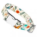 Pillangók és Vadvirágok - Kutya Nyakörv - april & june