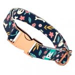 Koponya és Rózsa mintás - Kutya Nyakörv - april & june