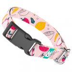 Nyári gyümölcsök - Kutya Nyakörv - april & june