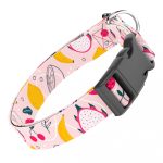 Nyári gyümölcsök - Kutya Nyakörv - april & june