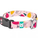 Nyári gyümölcsök - Kutya Nyakörv - april & june